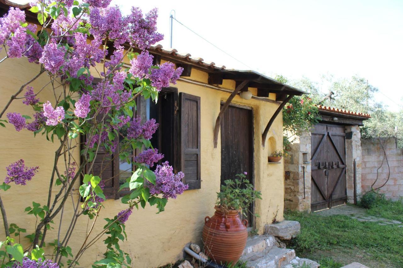 Varias Art House Kallirakhi Bagian luar foto